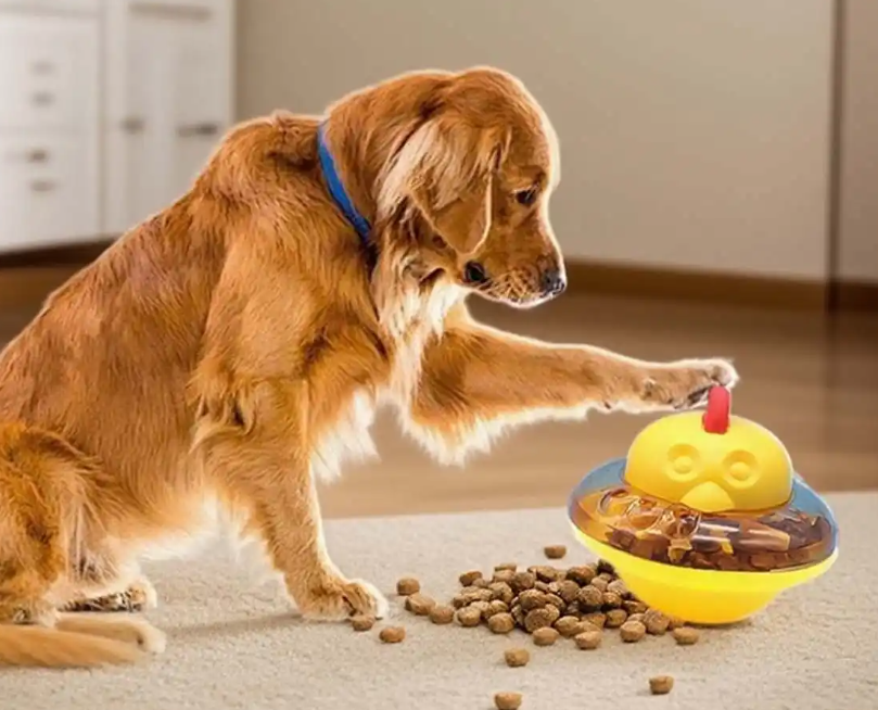 Pet Supplies